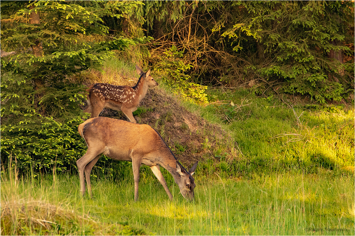 Sommerzeit