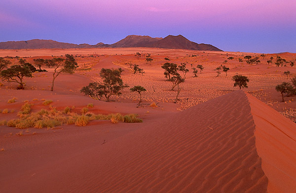 Namib ND