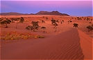 Namib ND