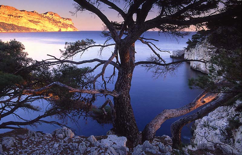 Steilküste der Calanques bei Cassis