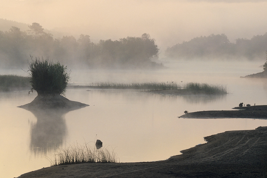 See im Morgennebel