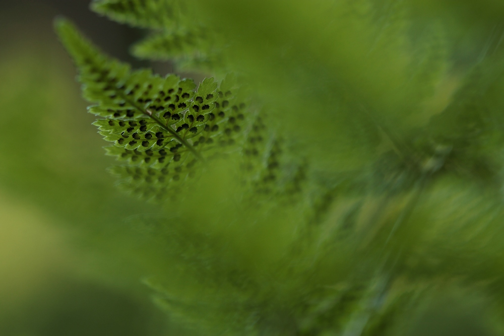 Versteckt