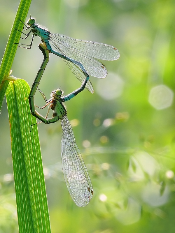 ...love is in the air...