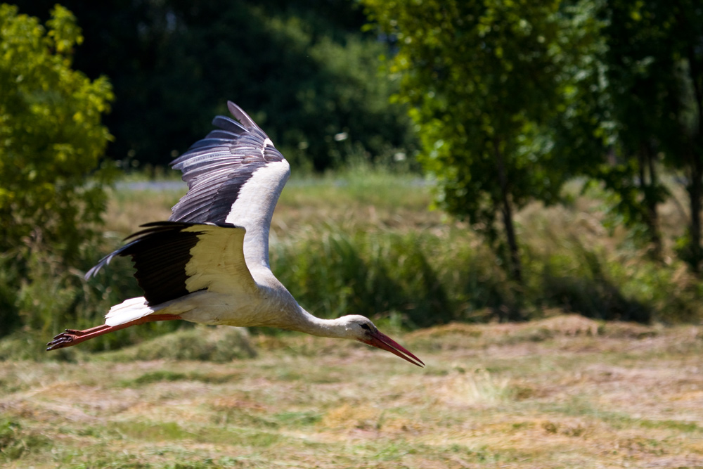 Abflug