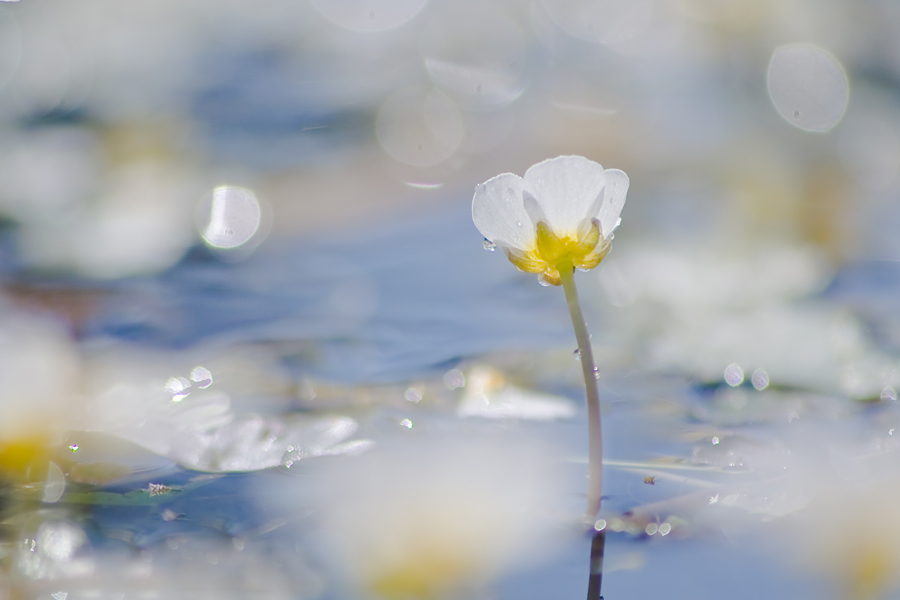 wasser und licht