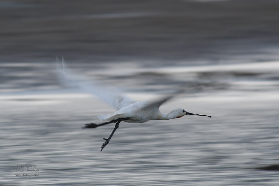 Im Vorbeiflug