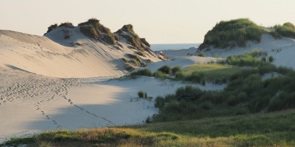 Spuren im Sand...