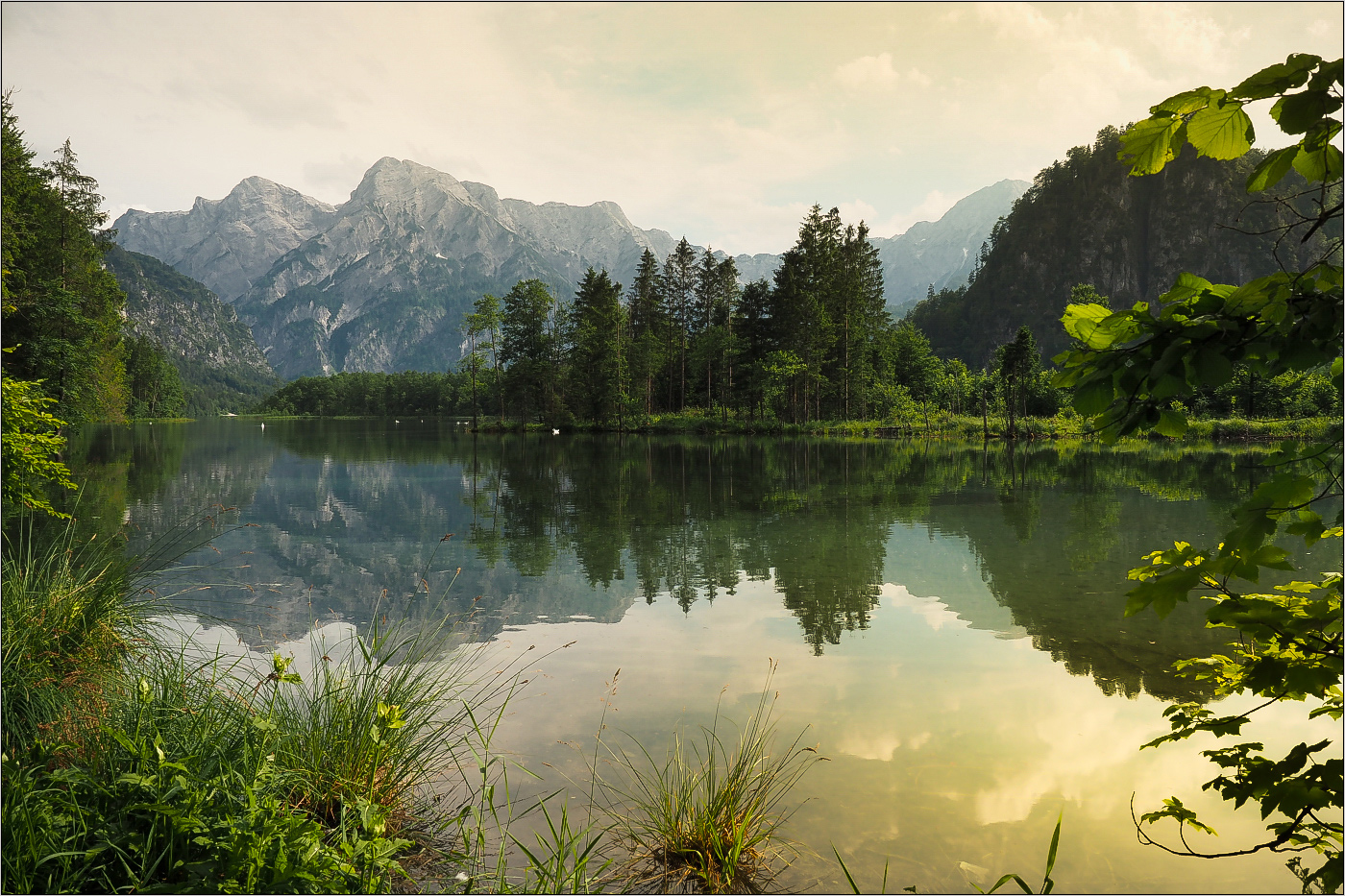 Bergsee (forumsbekannt)