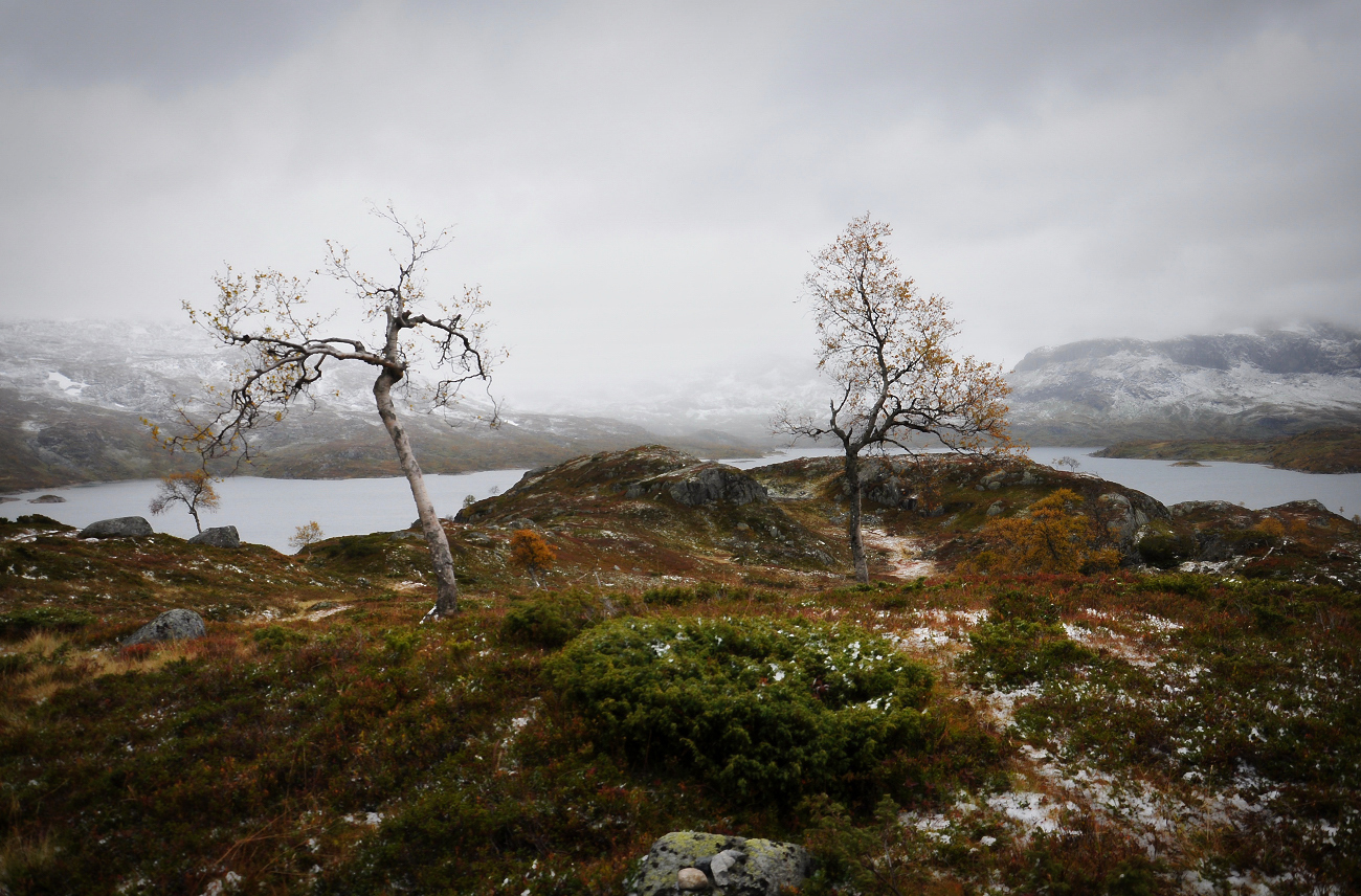 Norwegische Landschaft (Forum für Naturfotografen)