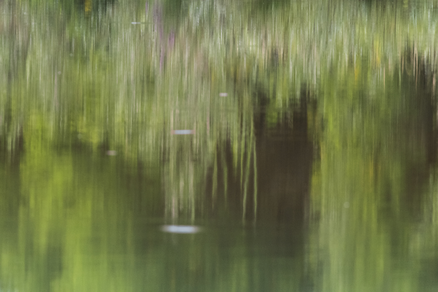 Aulandschaft...