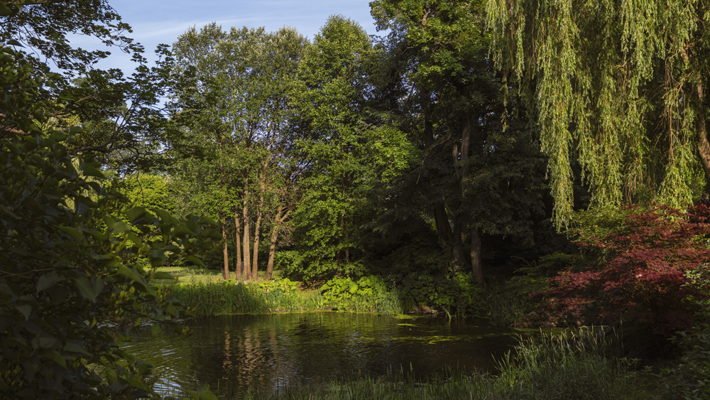 ein kleiner Teich...
