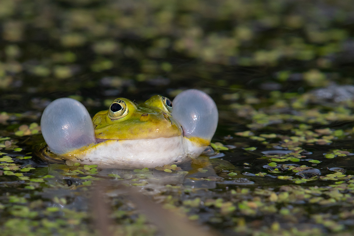 Rückblick