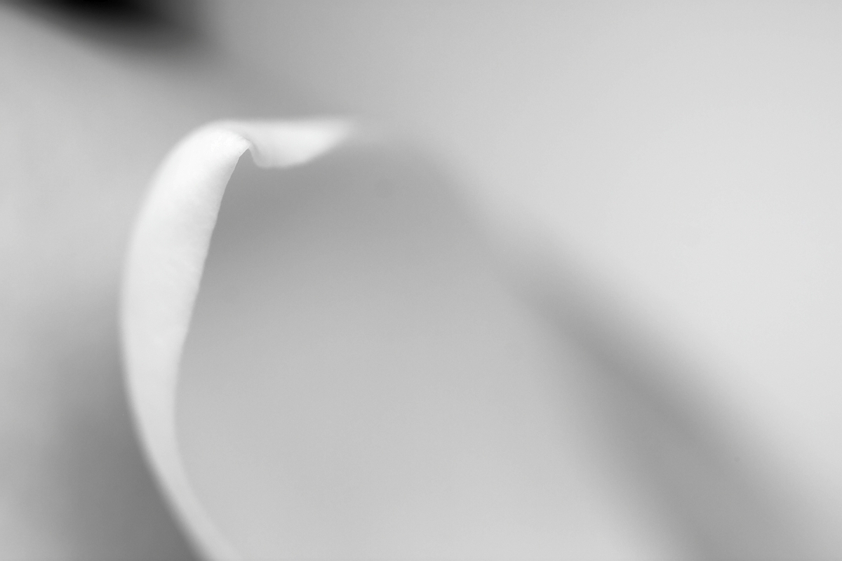 Whiteout