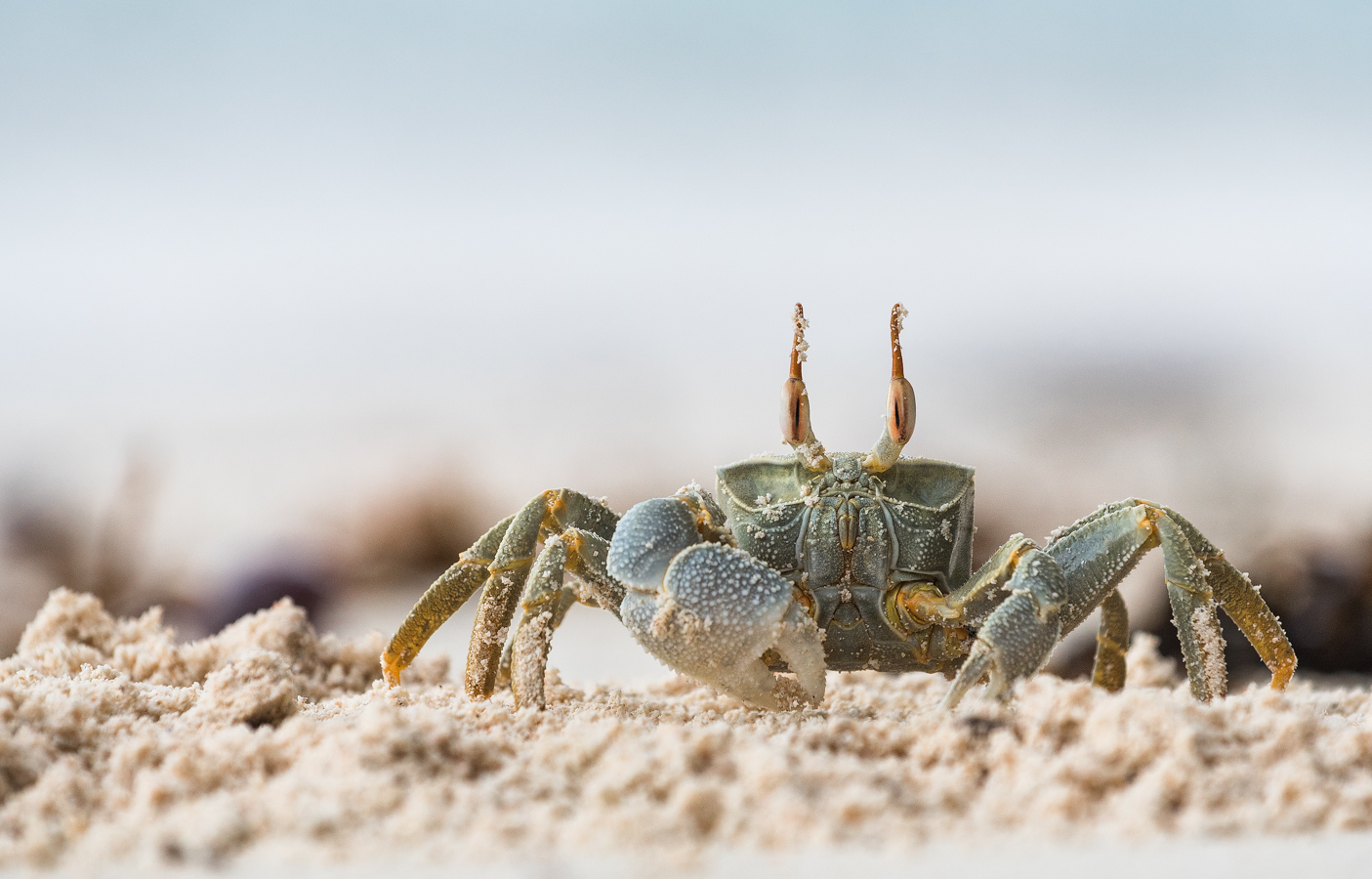 __ich glaube, ich hab Sand im Auge__