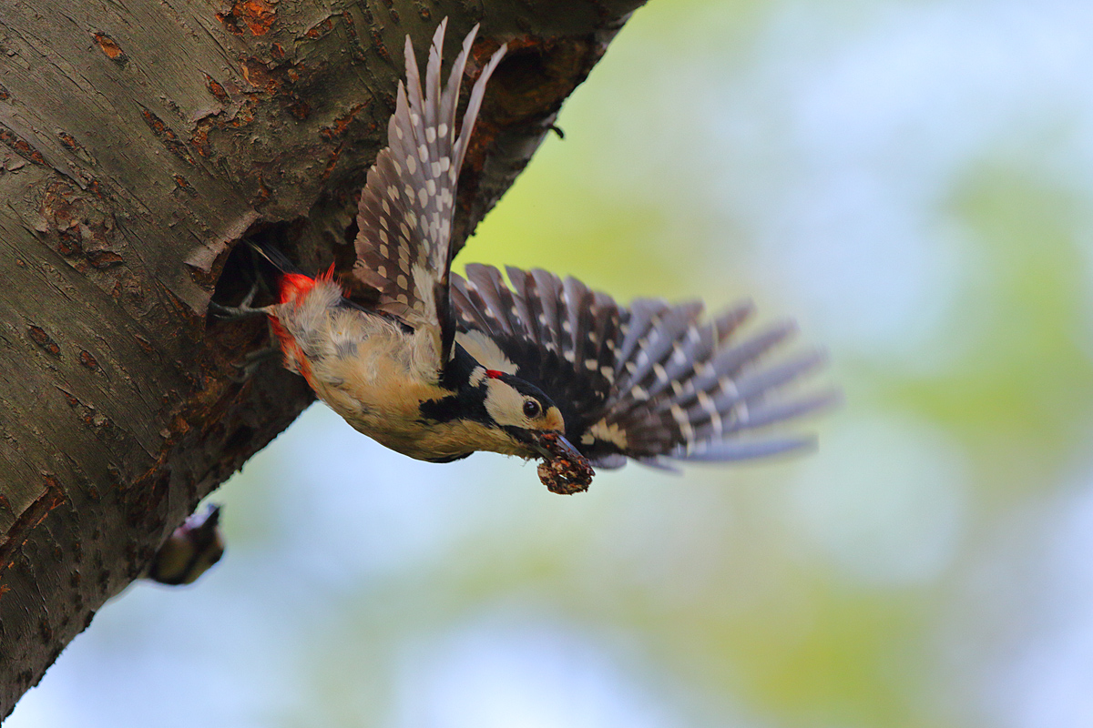 Der Abflug