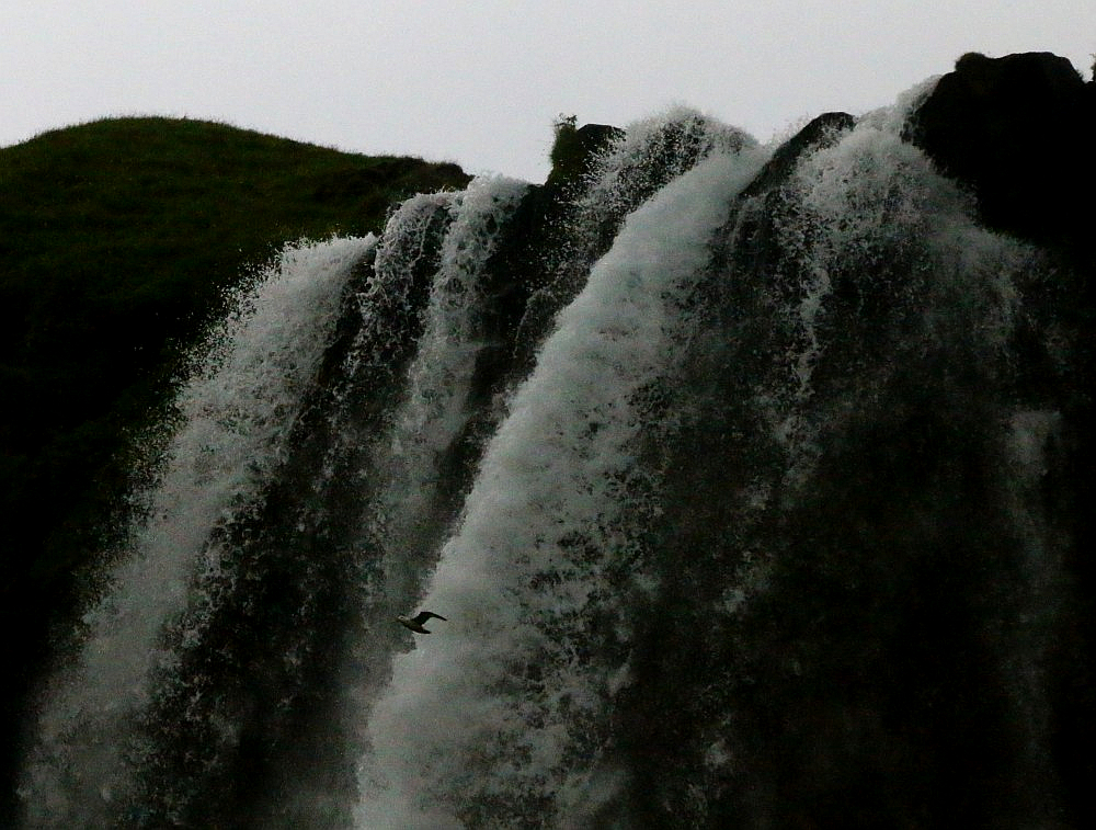 Eine kalte Dusche aus Island gefällig ?