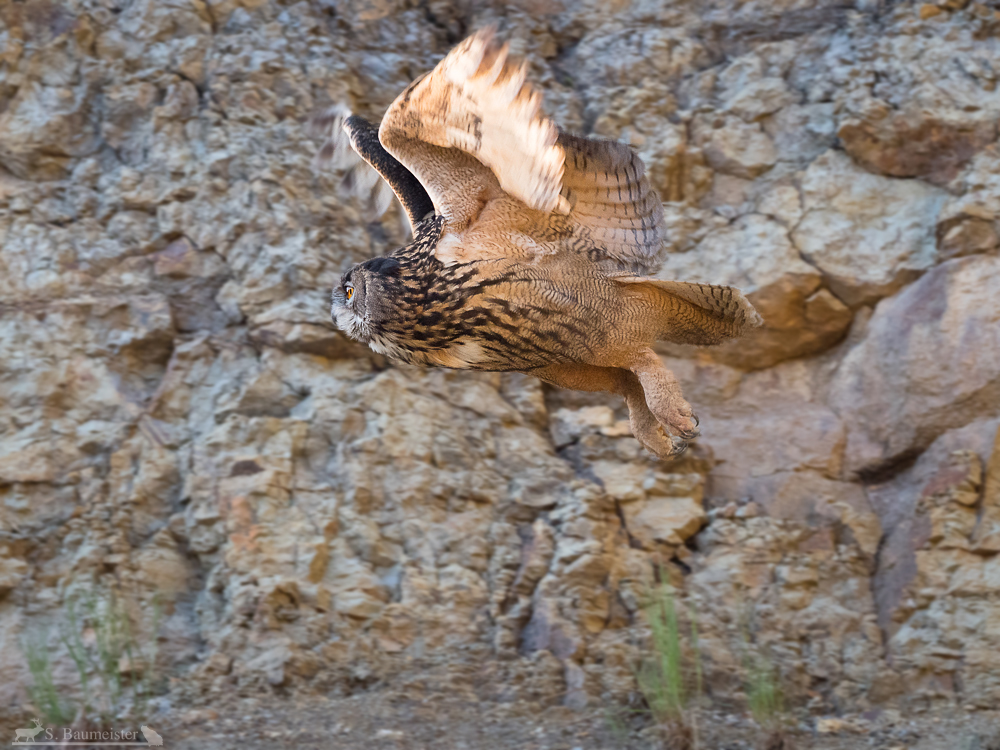 Abflug