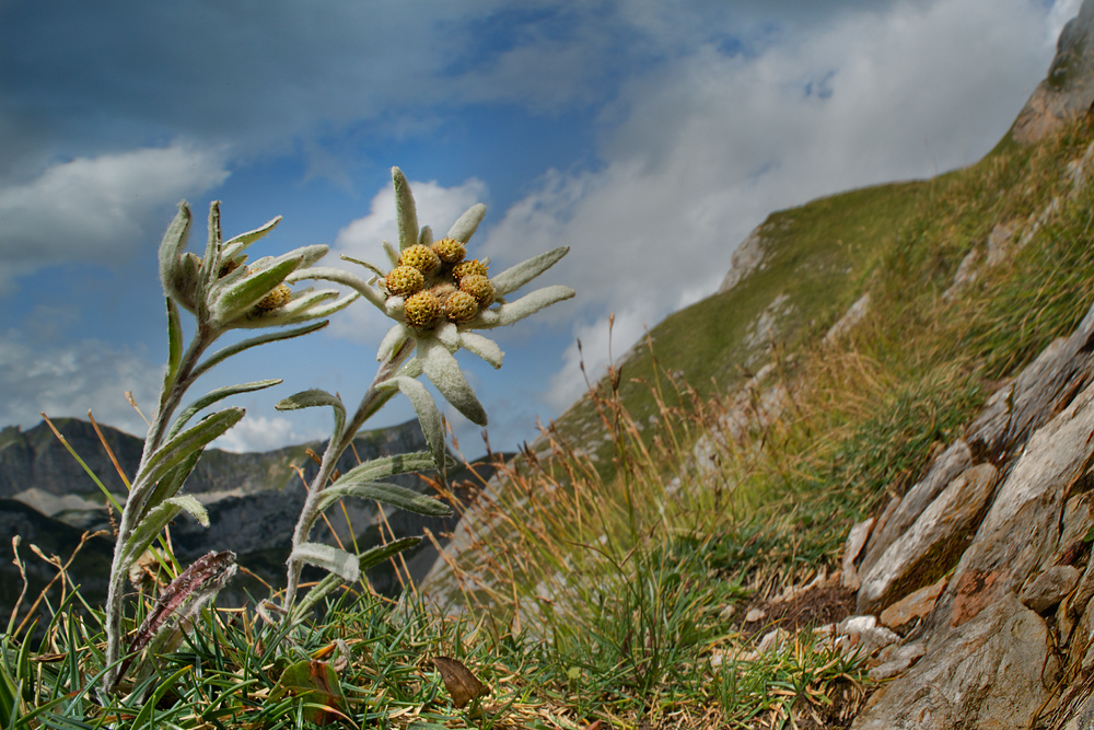 Der Liebesbeweis der Berge