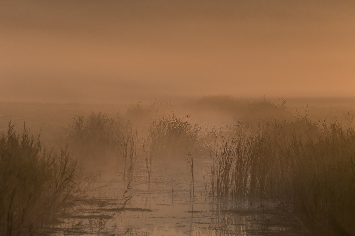 Ein wunderbarer Morgen