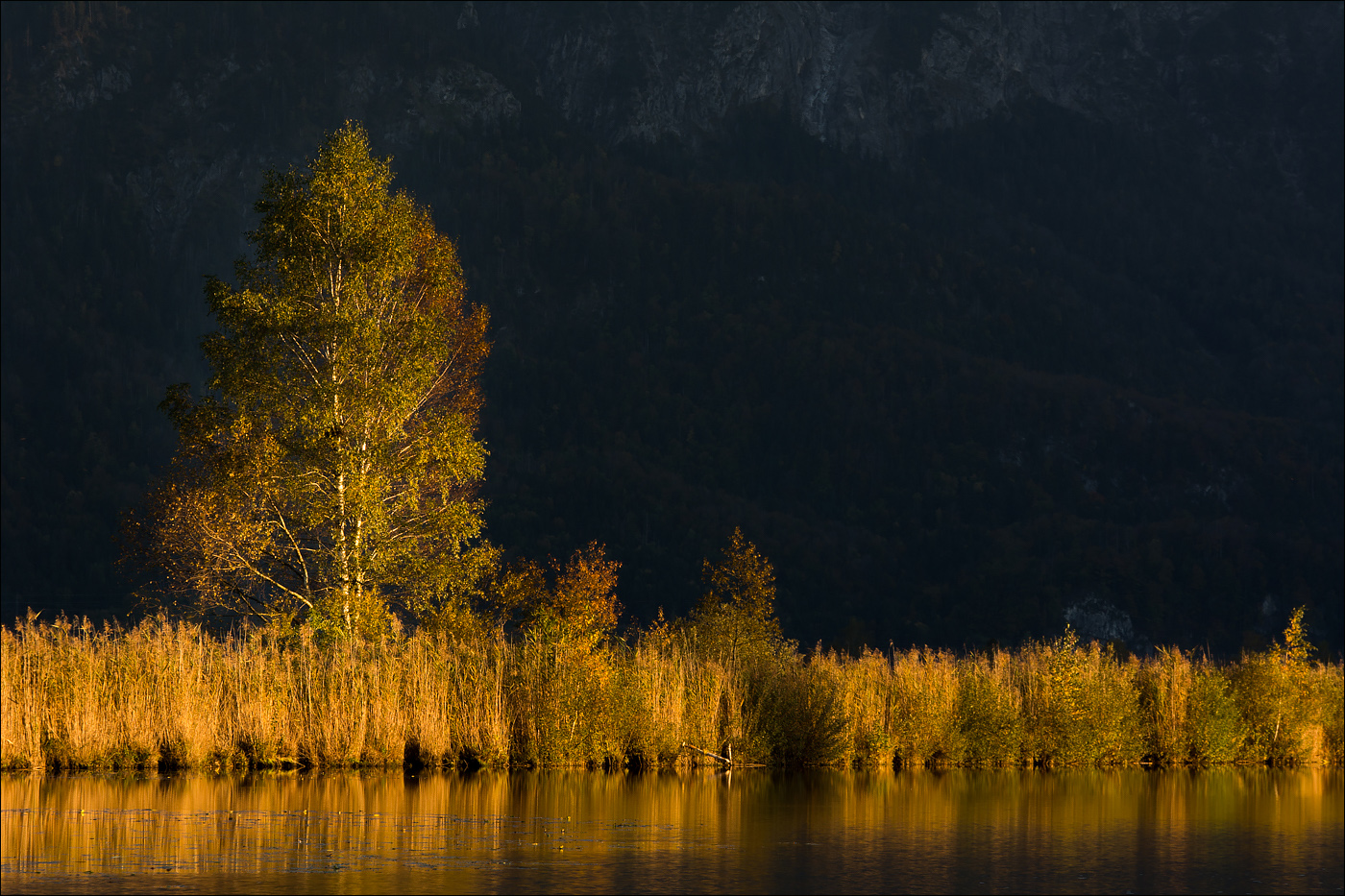 °°° goldener Herbst °°°