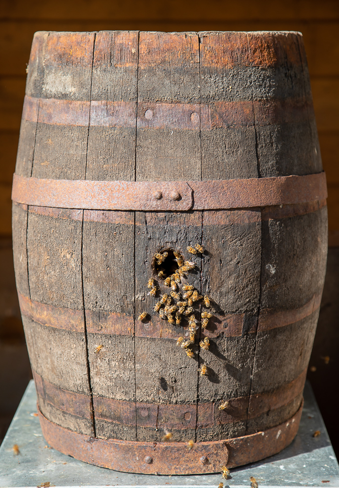 "Fassbienen"