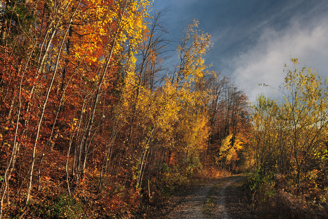 Mein Herbstwanderweg...