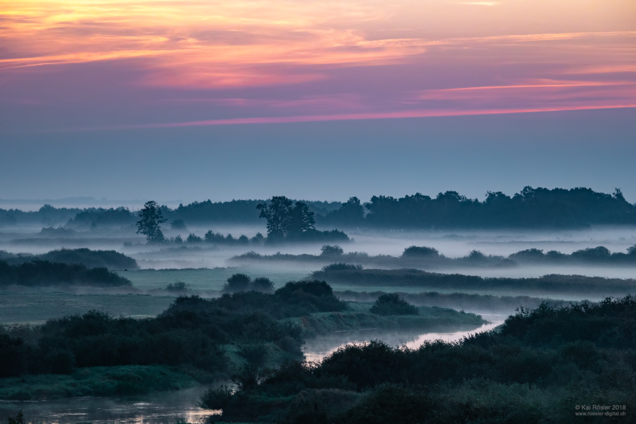 Morgenrot über der Biebrza