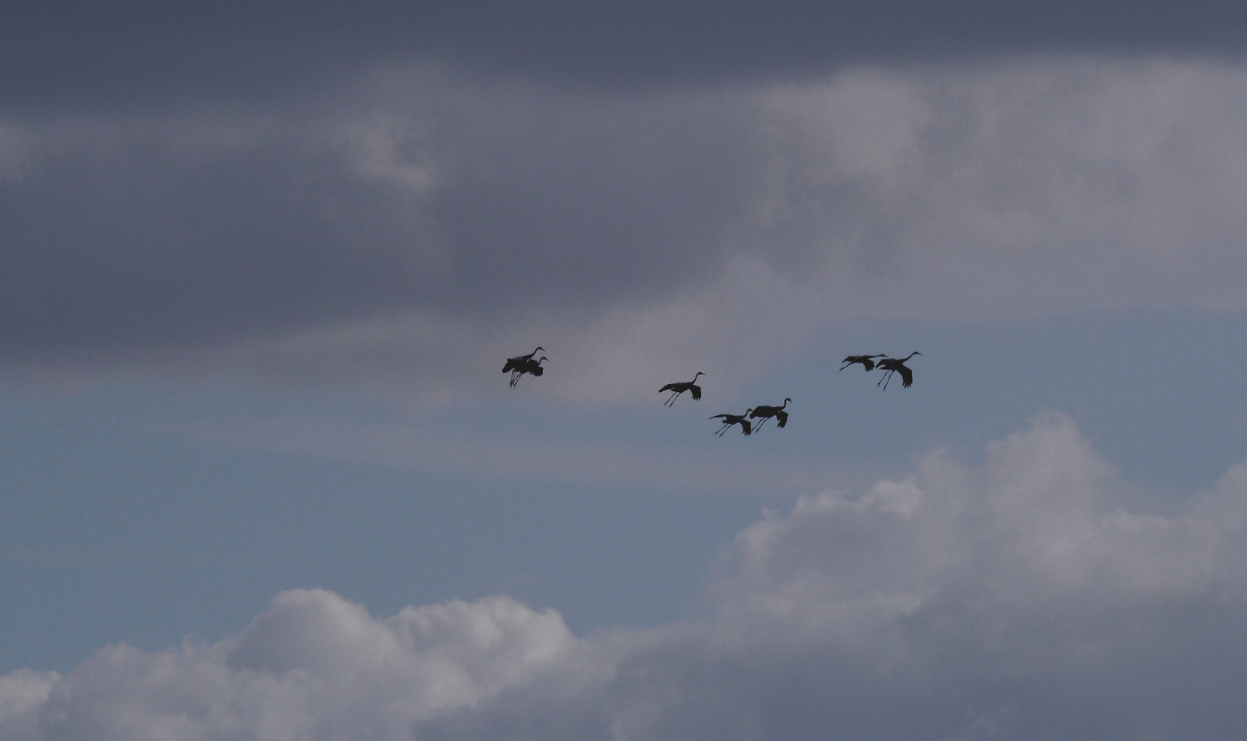 Sie sind im Anflug ...