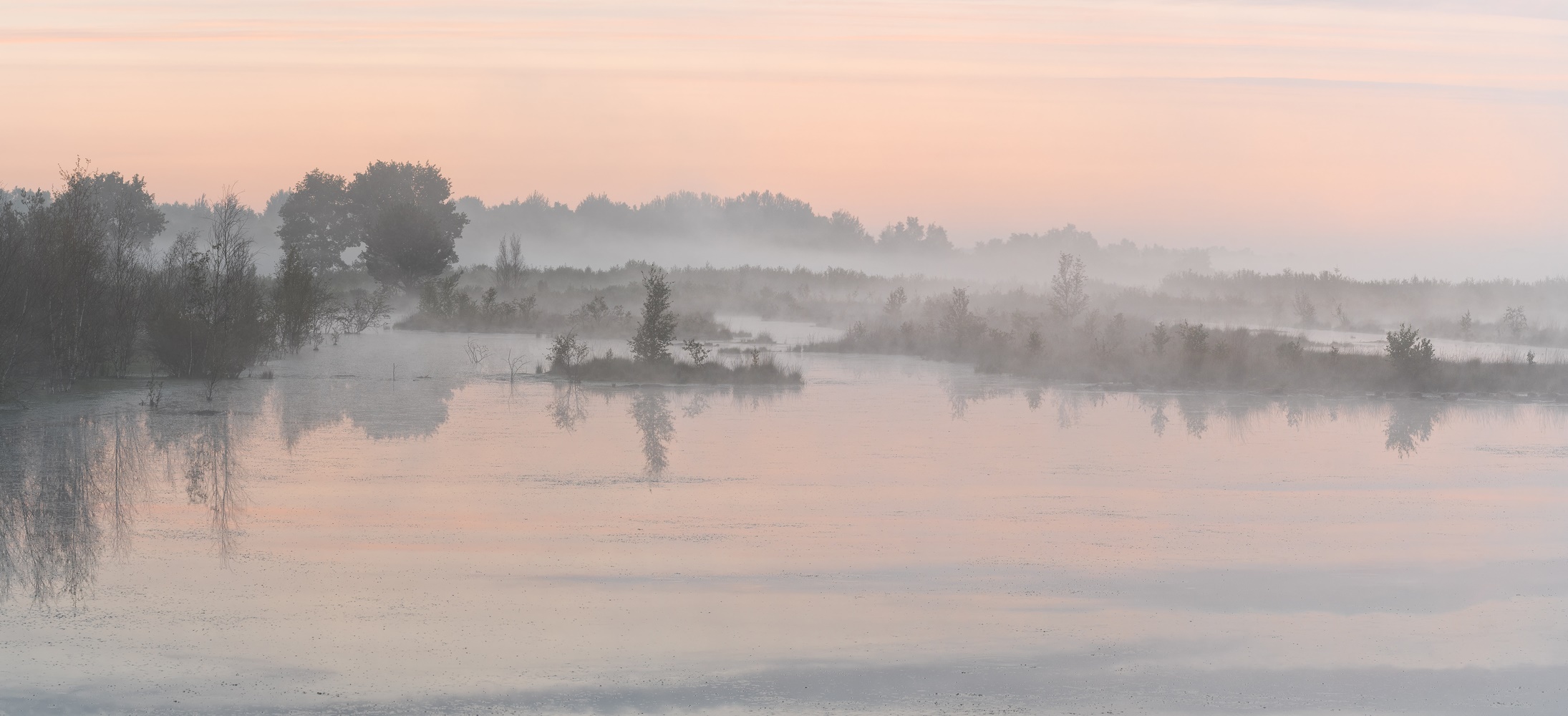 __Moor Juli 2017___