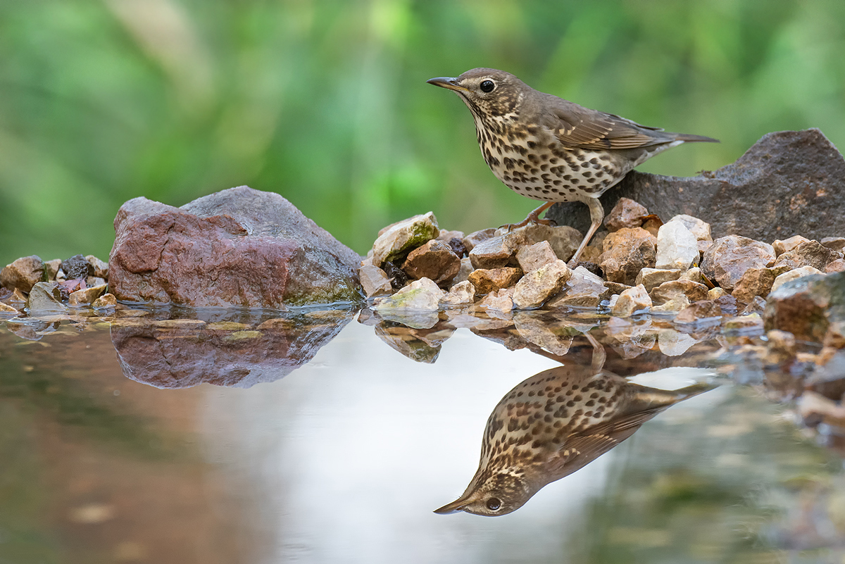 Spieglein,Spieglein...