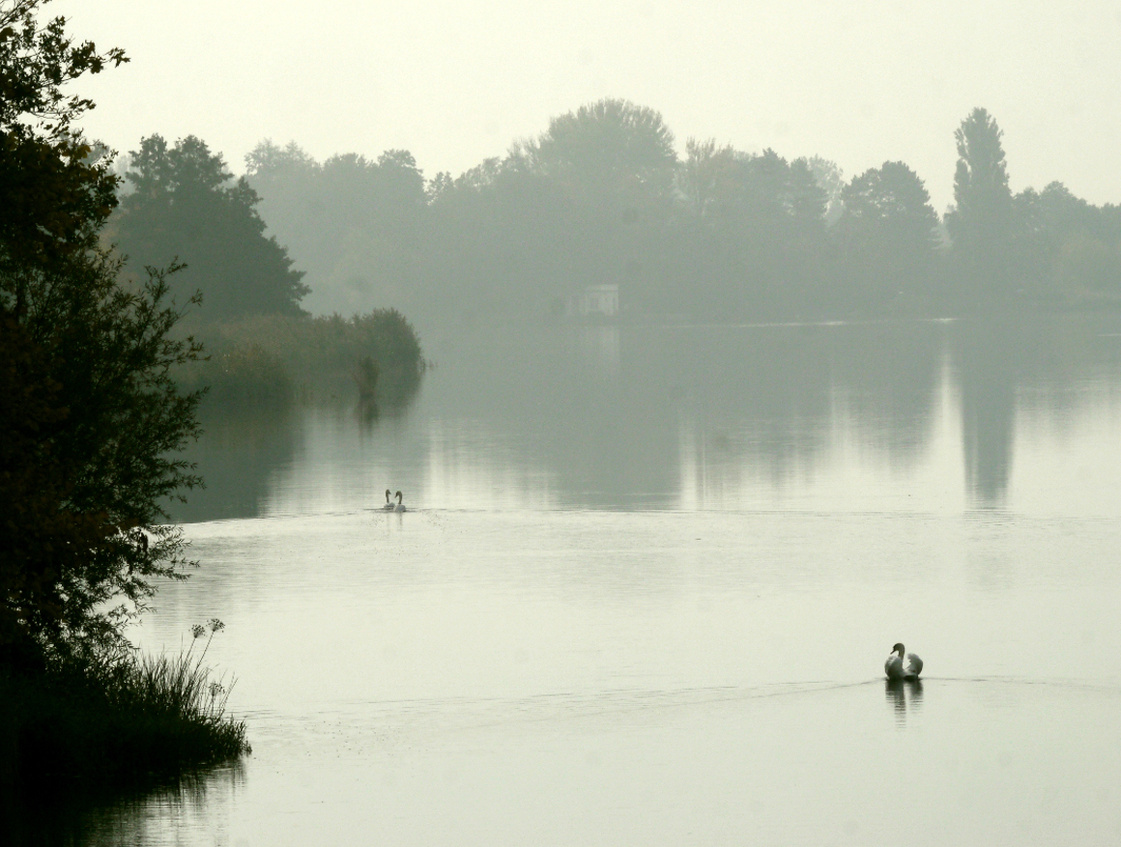 Attacke im Nebel