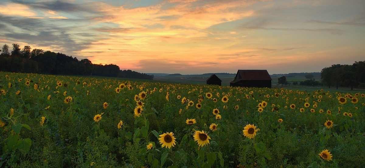 Sonnenuntergang