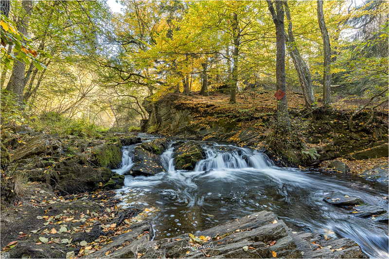 Herbst im Harz