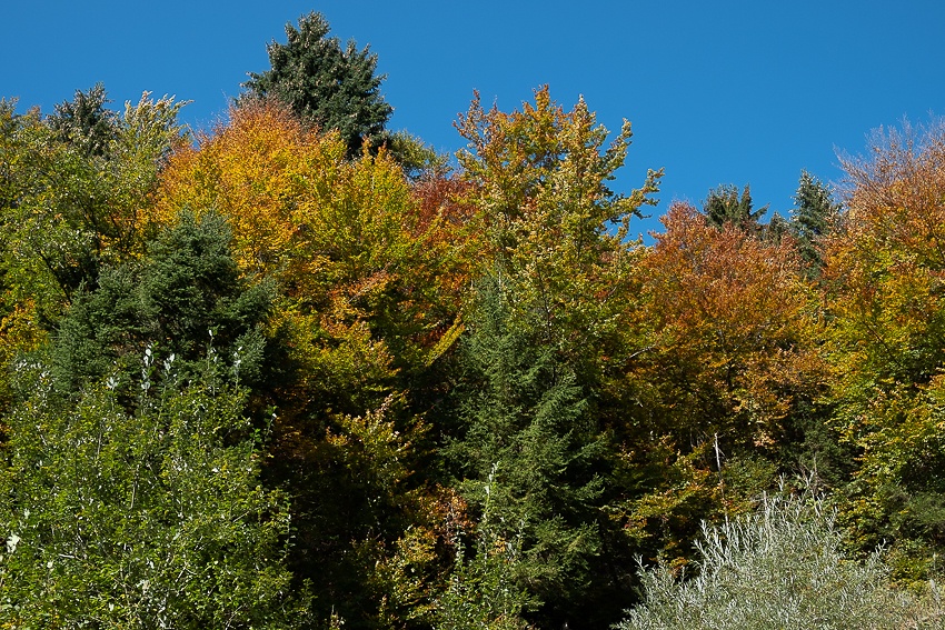 Prachtvoller Herbsttag