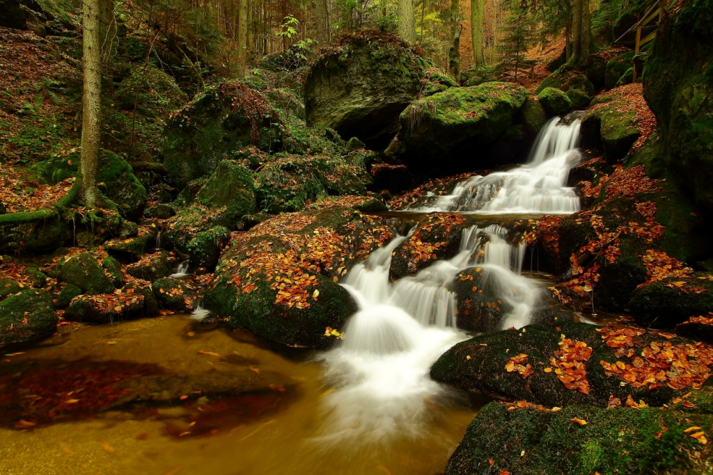 Herbst in der Klamm