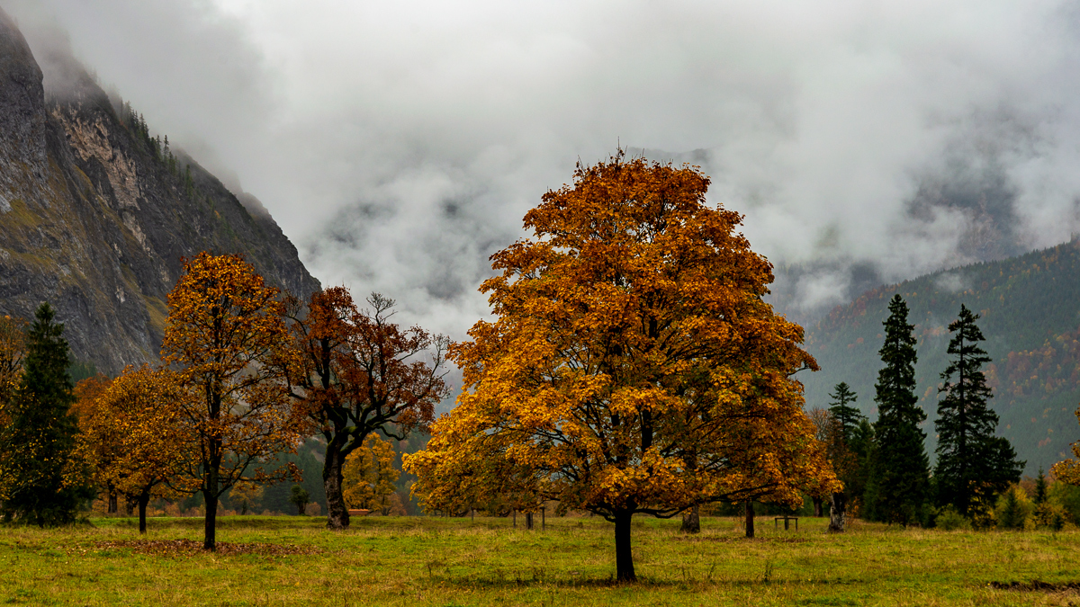 Autumn