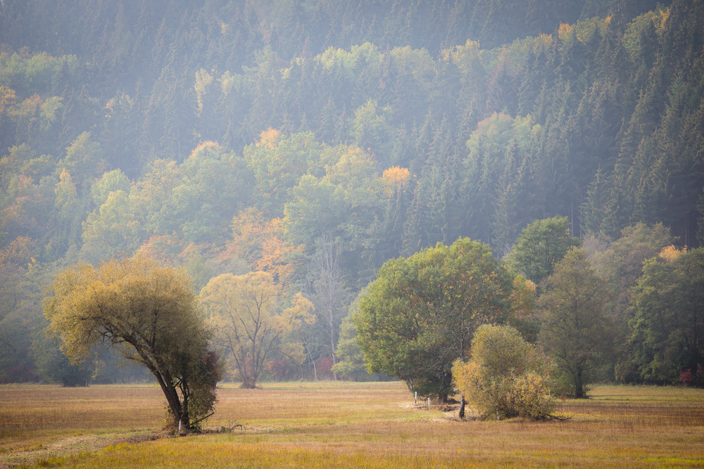 der Herbst kommt