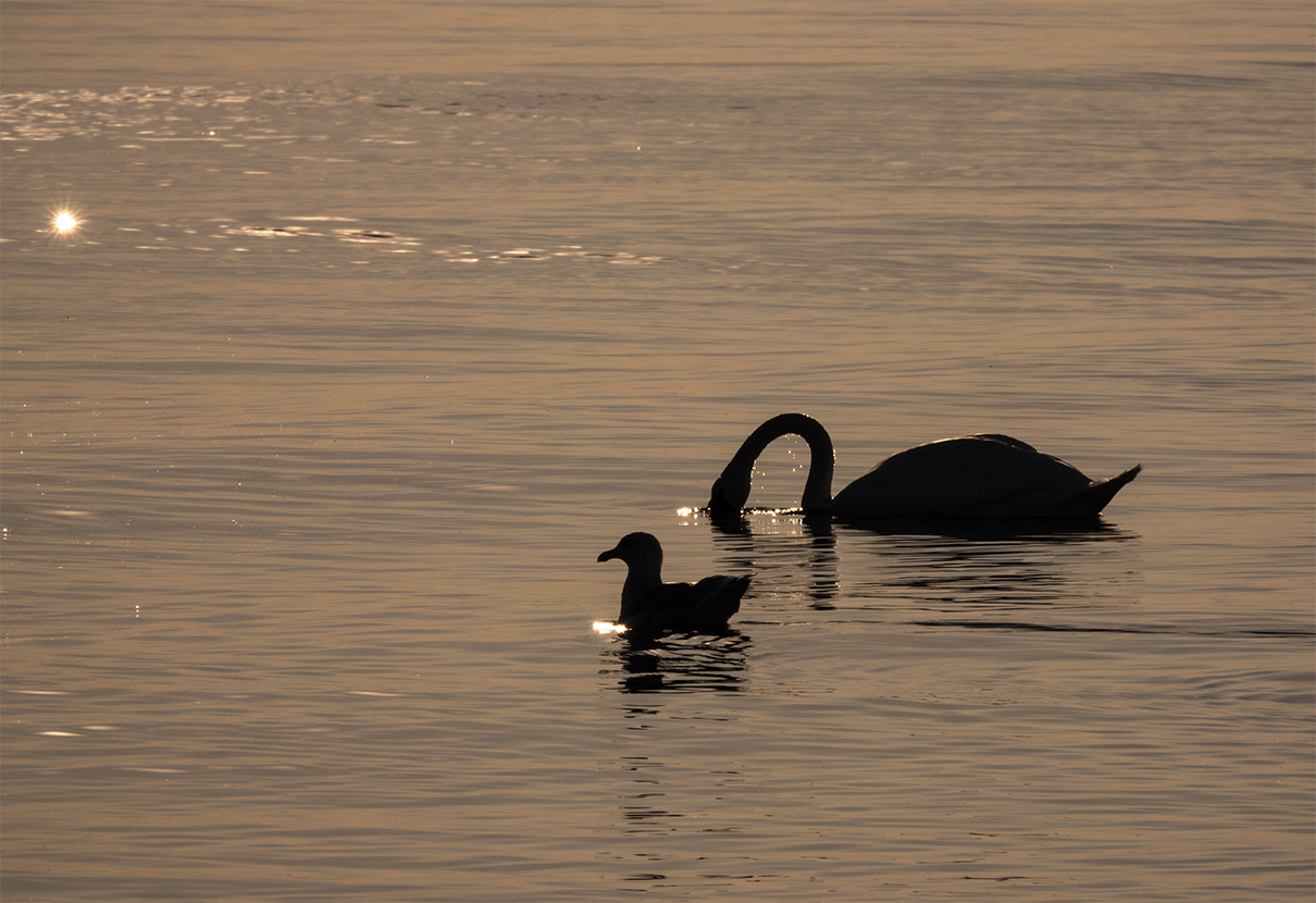 Abendstimmung