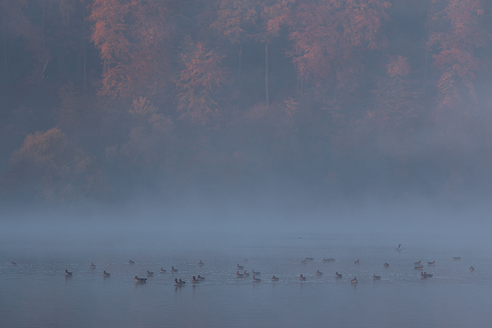Herbststimmung