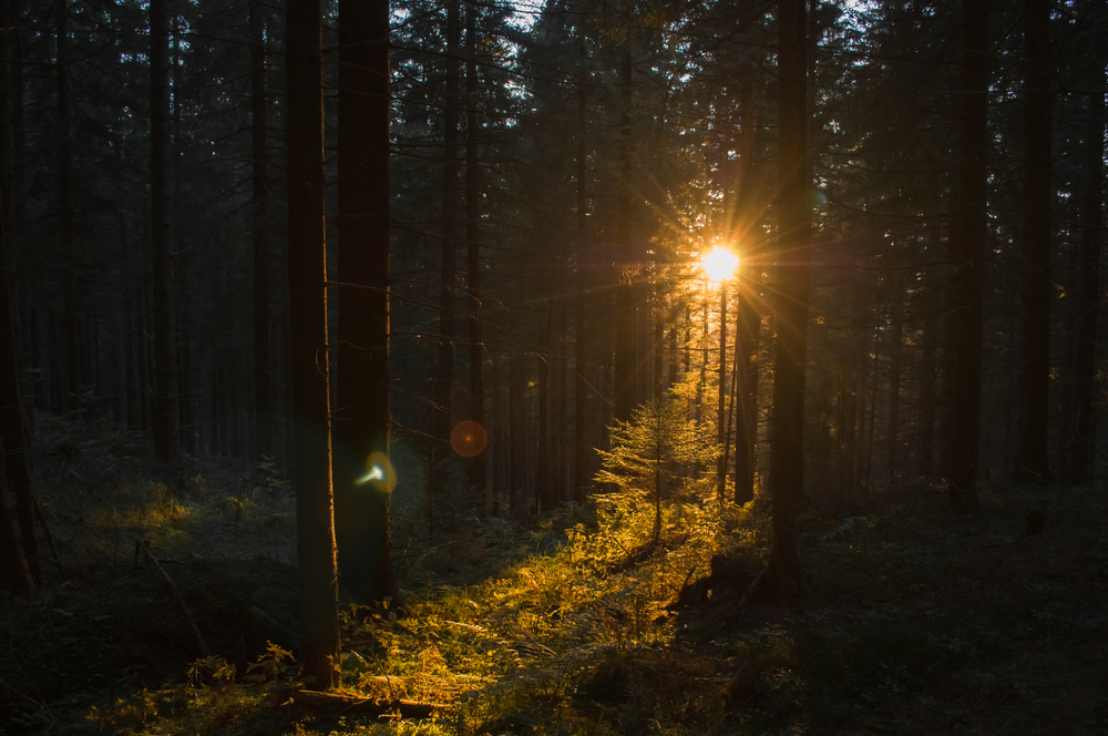 Goldener Lichtstreifen