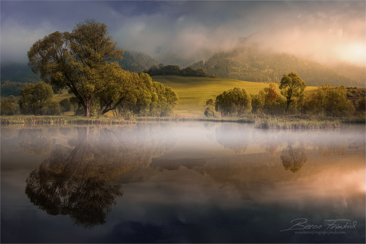 Morgens am Teich