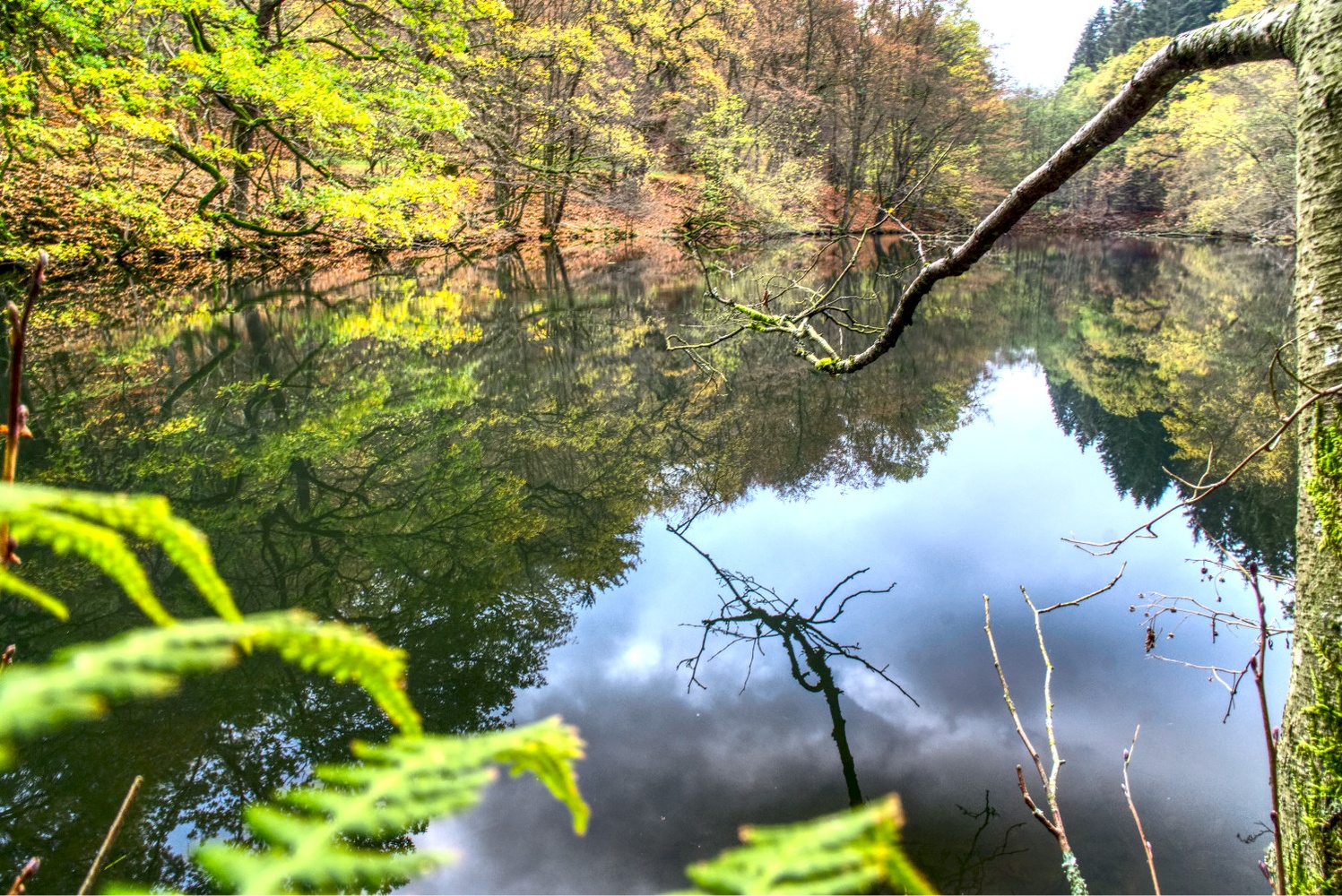 Herbstsee