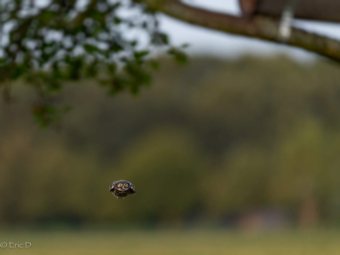 Nahrungsrakete