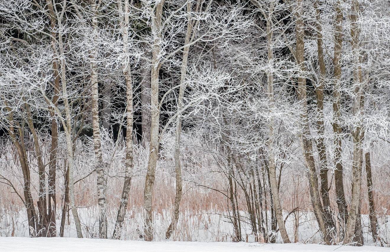 Der erste Schnee