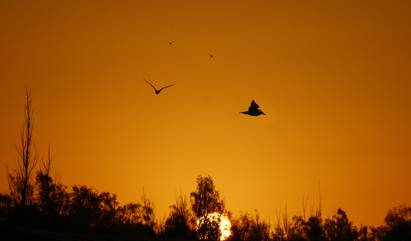 Sonnenaufgang