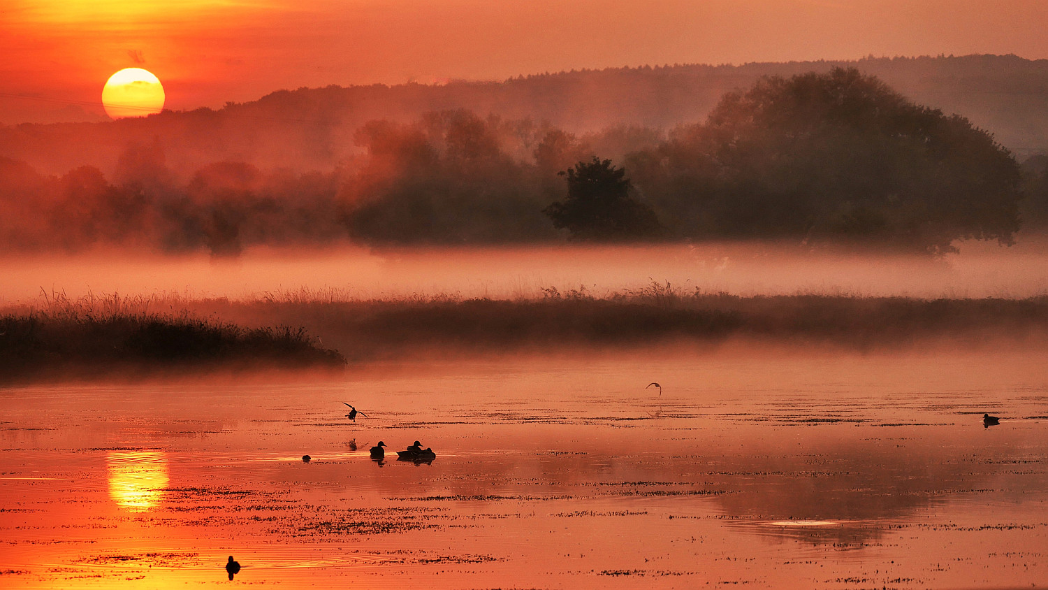 Sonnenaufgang an der Ruhr