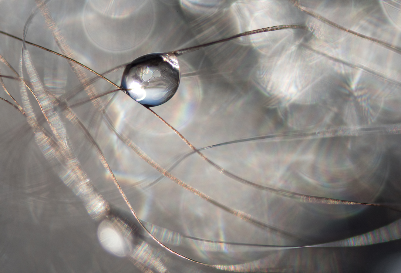 ___waterdrop___