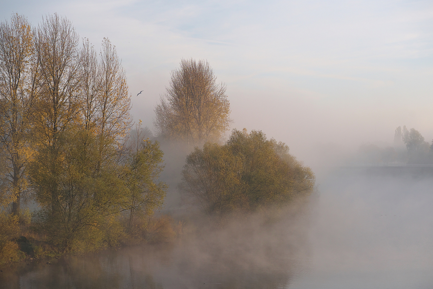 Herbst an der Ruhr