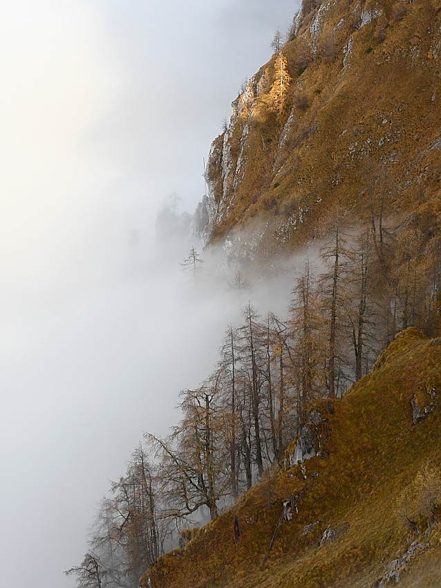 www naturfotografen forum de