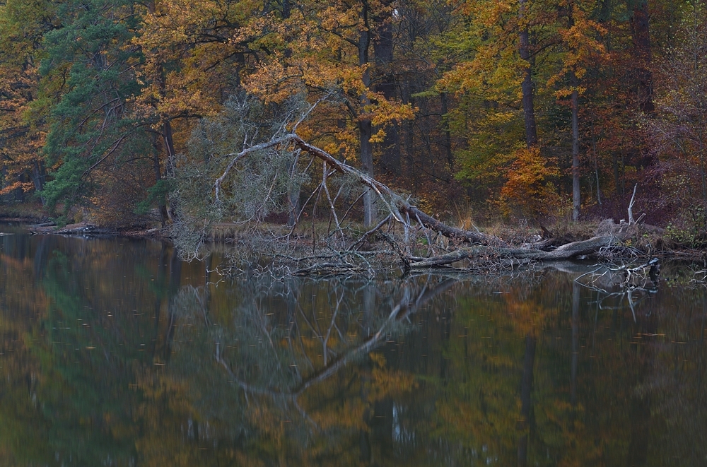 Bärensee